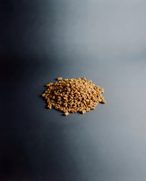 Fenugreek Seed