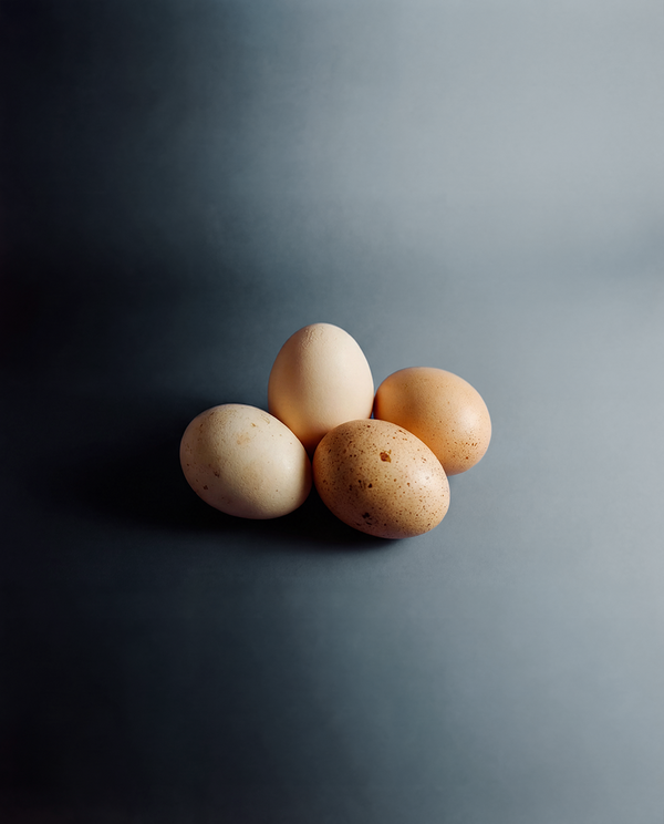 NEM® Eggshell Membrane Collagen